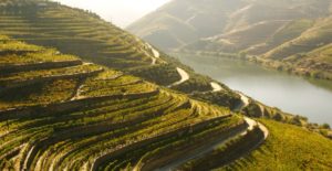 rio_douro_vinhos_de_mesa_hoteldouro