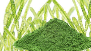 Chlorella-beneficios