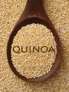 Dogs-and-Quinoa