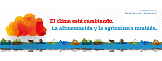 dia-mundial-de-la-alimentacion