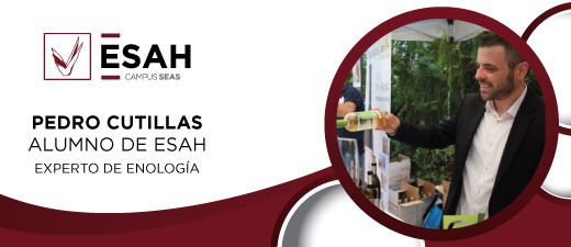 Pedro Cutillas experto enólogo empresa de vinos