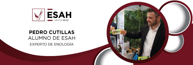 Pedro Cutillas experto enólogo empresa de vinos