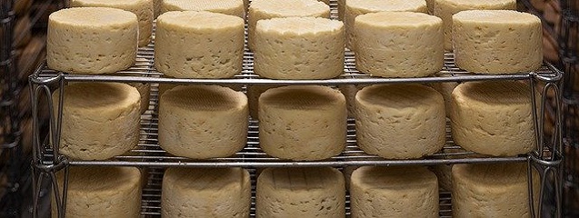 Las bacterias: clave del olor y el sabor del queso