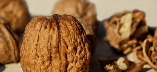 Frutos secos más frecuentes en otoño