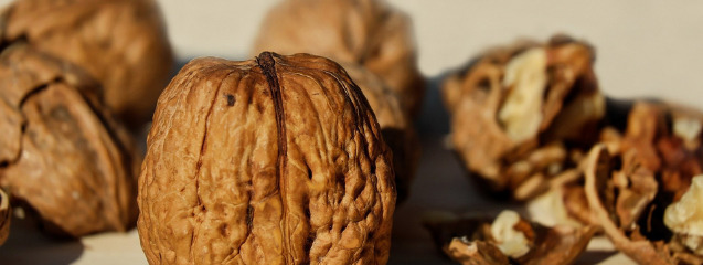 Frutos secos más frecuentes en otoño