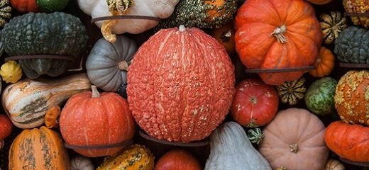 Un alimento ligero y nutritivo: la calabaza