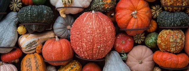 Un alimento ligero y nutritivo: la calabaza