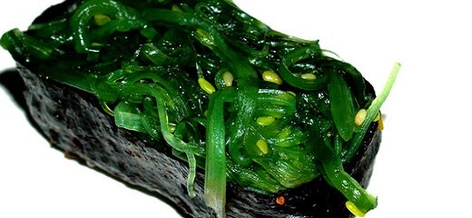 Las algas ya se consumían hace 14000 años en América