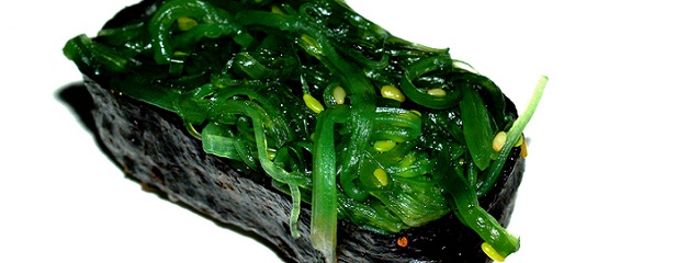 Las algas ya se consumían hace 14000 años en América