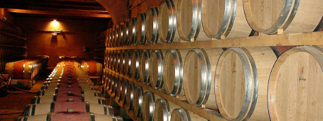 Bodegas que se pueden visitar en España