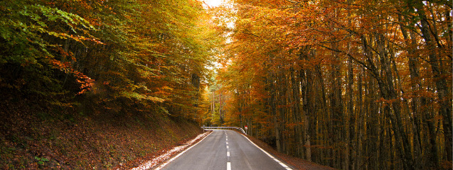 Mejores destinos para viajar en otoño