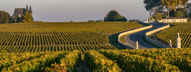 Ruta del vino