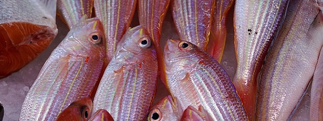Técnicas de cocción de pescados, mariscos y crustáceos