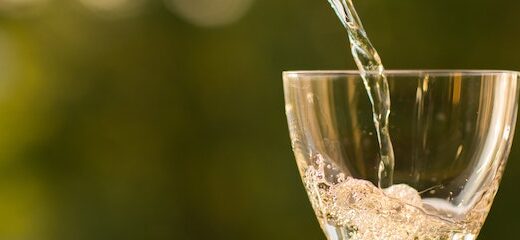 El vino y la salud: beneficios y mitos