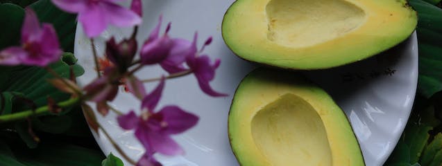 El aguacate, un superfruto que conquista paladares