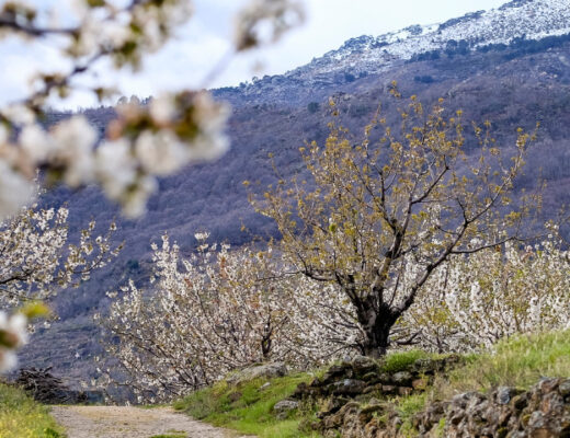 Destinos viajar primavera