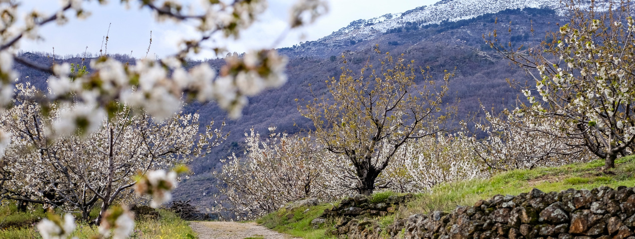 Destinos viajar primavera