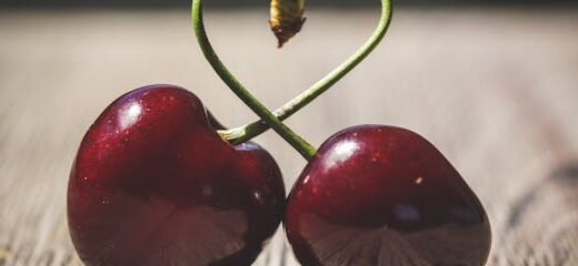 Cerezas: Dulzura y sabor en cada bocado