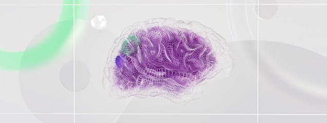 Neurociencia aplicada al servicio: cómo conquistar al cliente desde el primer momento