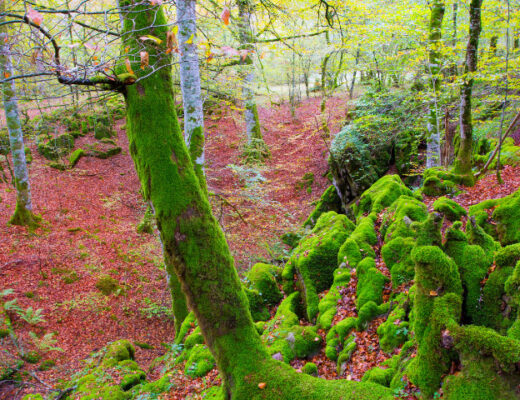 Mejores lugares naturales en España