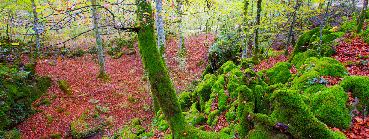 Mejores lugares naturales en España