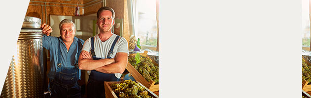 Curso de Turismo y Marketing del Vino ESAH Curso de Turismo y Marketing del Vino ESAH