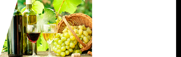 Curso de Viticultura Curso de Viticultura