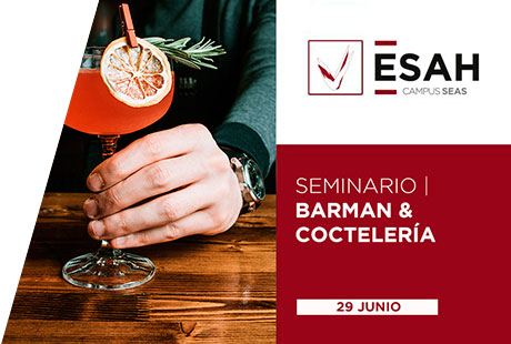 Seminario online de Barman y Coctelería | Junio 2023 Seminario online de Barman y Coctelería | Junio 2023