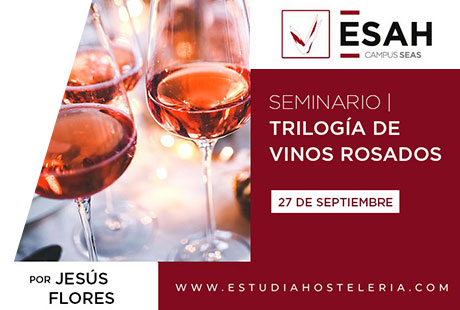 Seminario online de Cata de Vinos Trilogía de Vinos Rosados