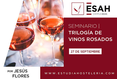 Seminario online de Cata de Vinos Trilogía de Vinos Rosados Seminario online de Cata de Vinos Trilogía de Vinos Rosados