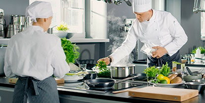 Profesiones, cocinero profeisonal Profesiones, cocinero profeisonal