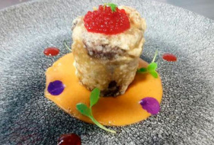 melodi_gastronomia_leon_javier_fuster_esah opinion alumnos esah