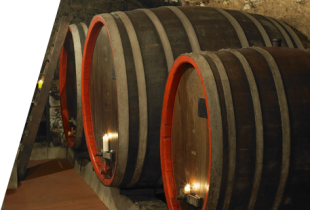 Curso cata de vinos