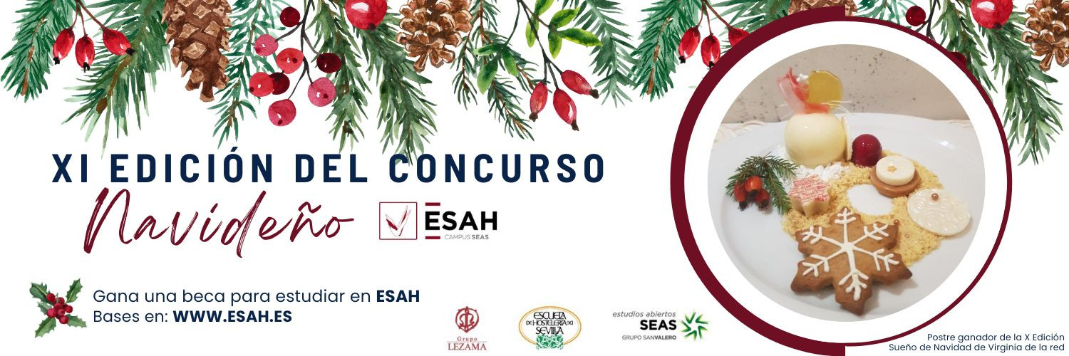 XI Edición Concurso de Navidad ESAH XI Edición Concurso de Navidad ESAH