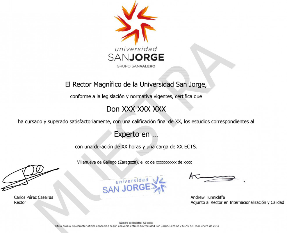 Ejemplo título USJ ESAH Experto